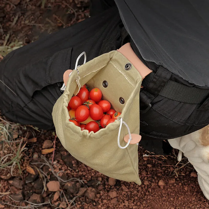 1+1 Free |  Versatile Canvas Bag